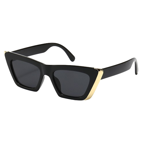 Street Style Square Sunglasses