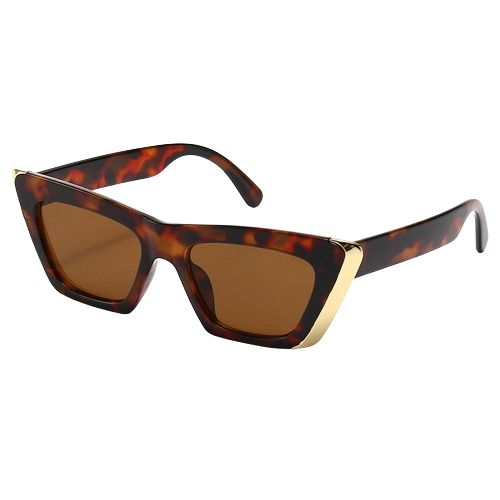 Street Style Square Sunglasses