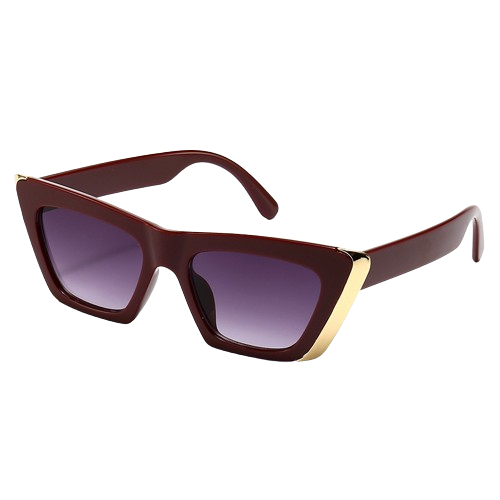 Street Style Square Sunglasses