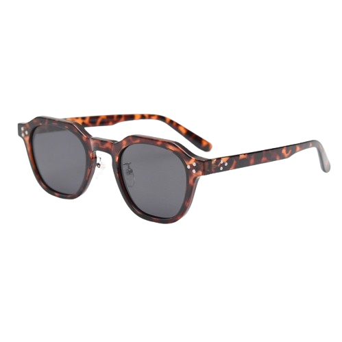 Retro Polarized Sunglasses