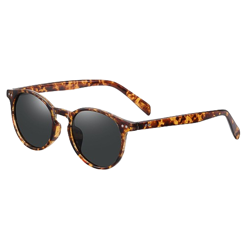 Classic Retro Polarized Sunglasses