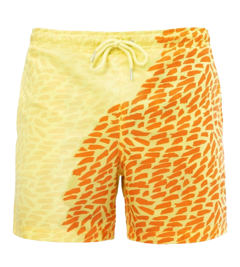 Temperature-Sensitive Watercolor Beach Shorts